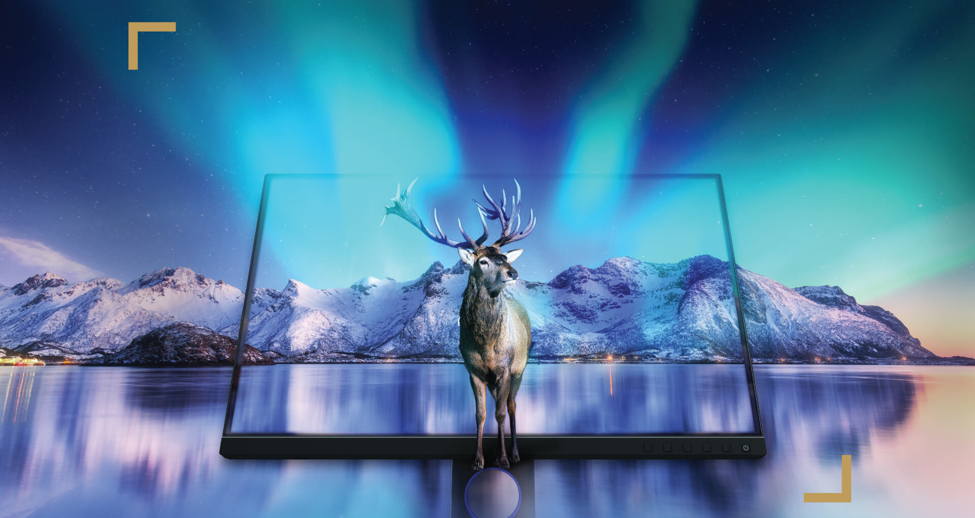 SW321C 4K IPS Monitor for Photo Editing