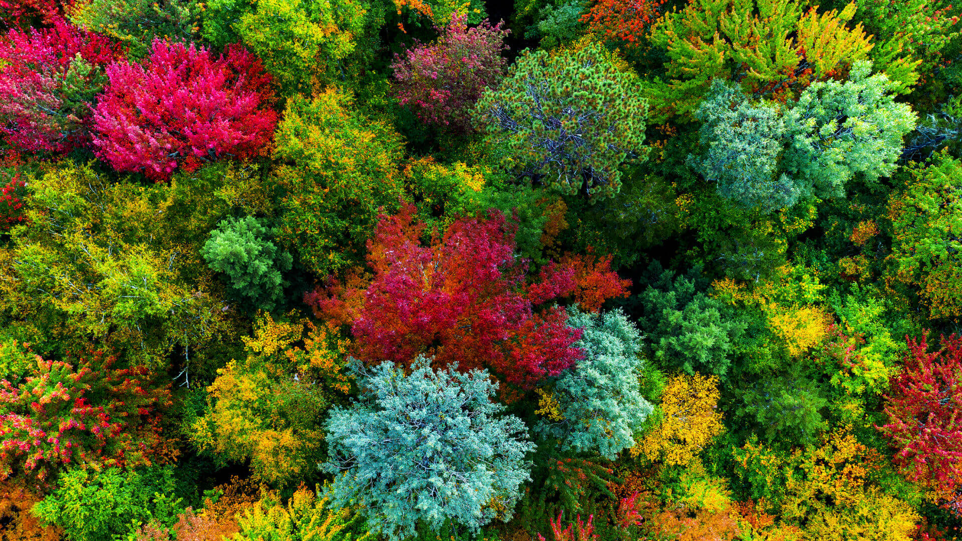 BenQ CinematicColor technology