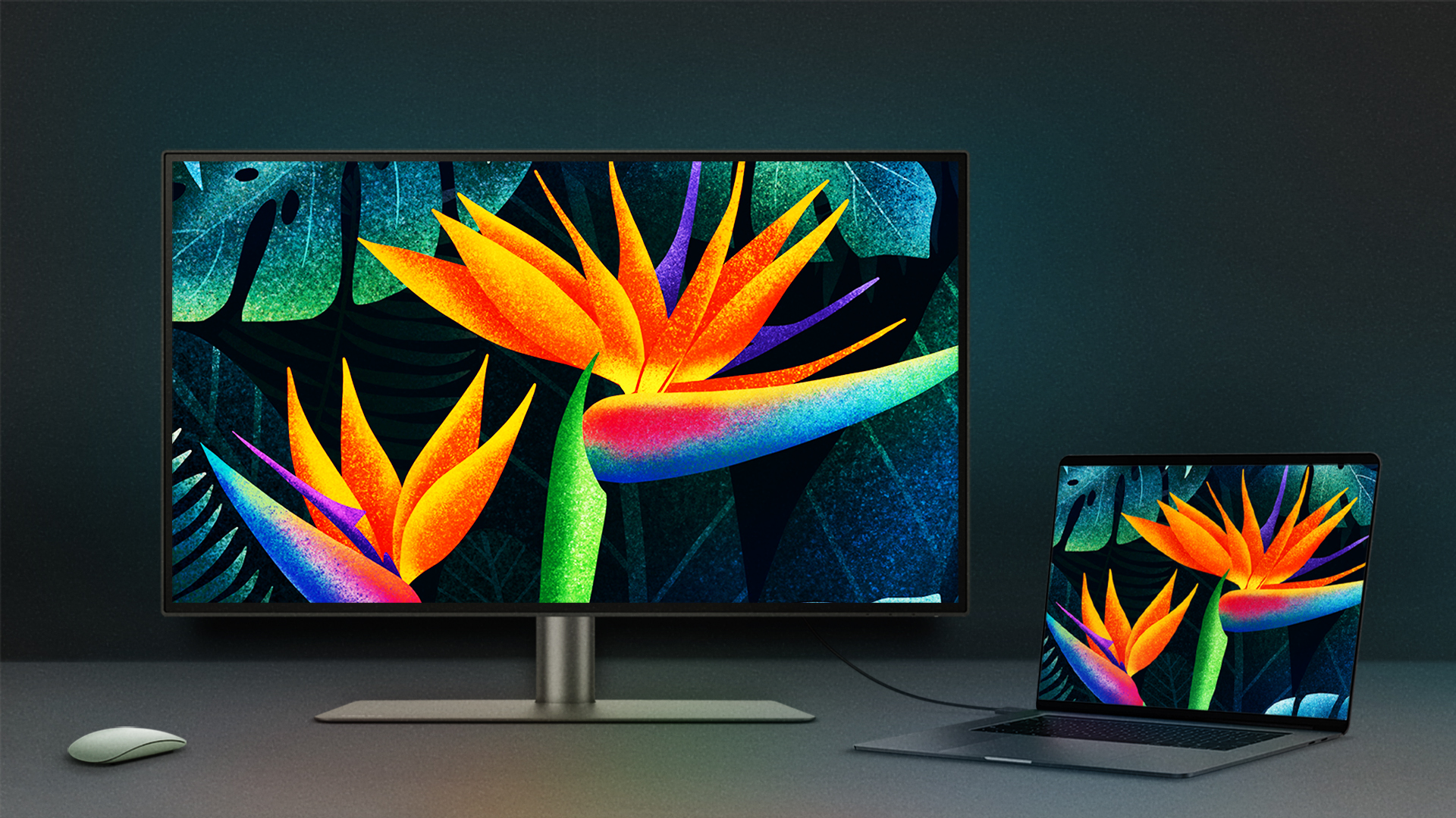 best monitor for macbook