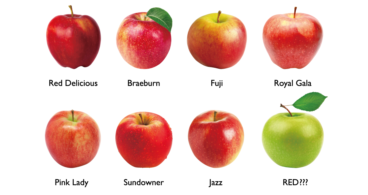 download the new version for apple Color Road + download the new version for apple Color Road +