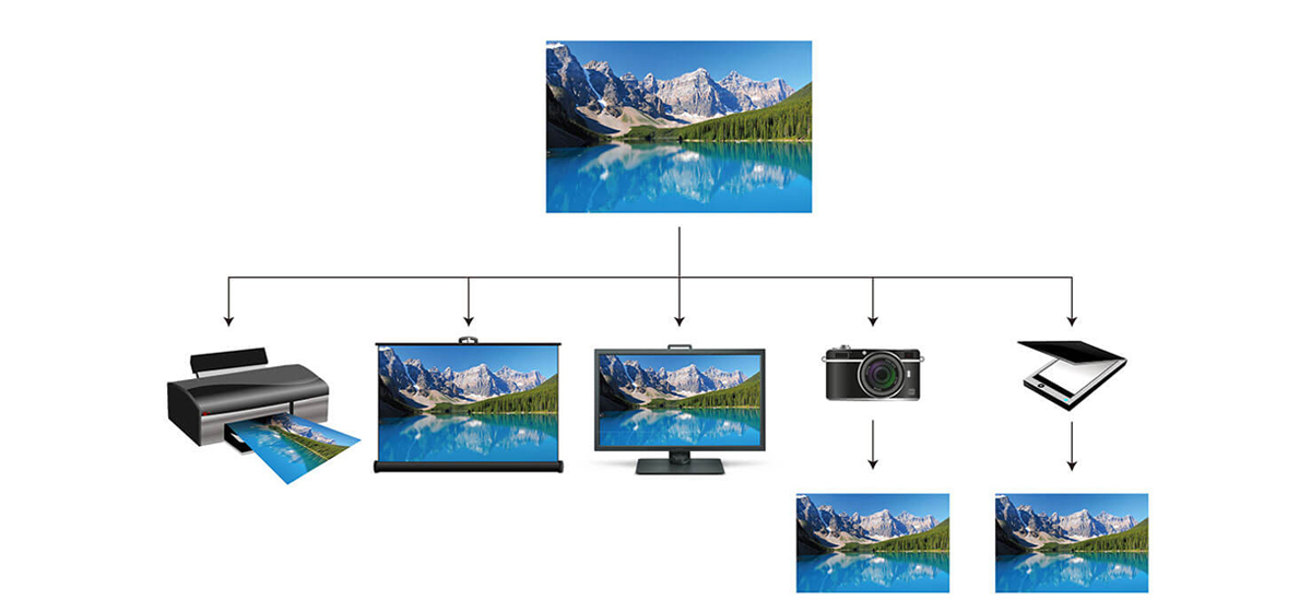 How to Reproduce Consistent Colors? | BenQ Europe