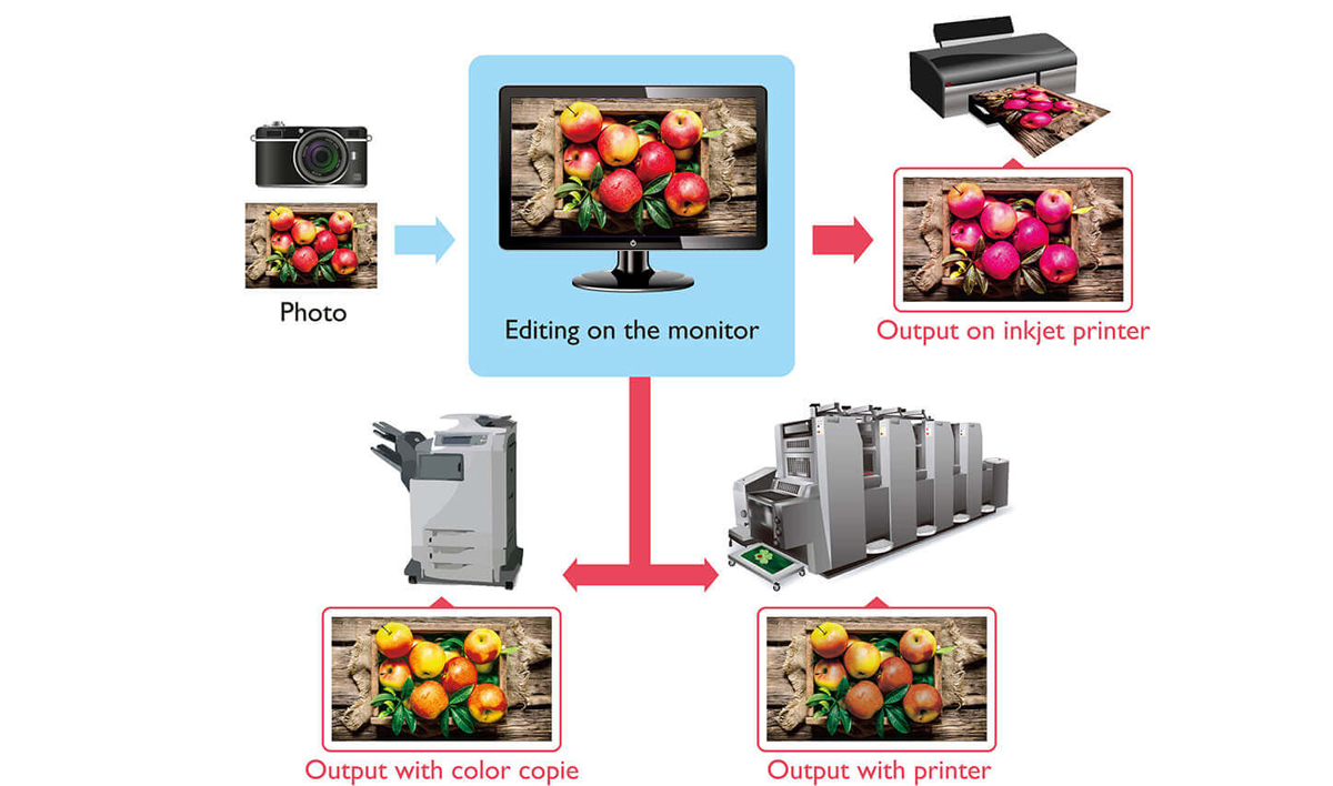 How to Reproduce Consistent Colors? | BenQ UK