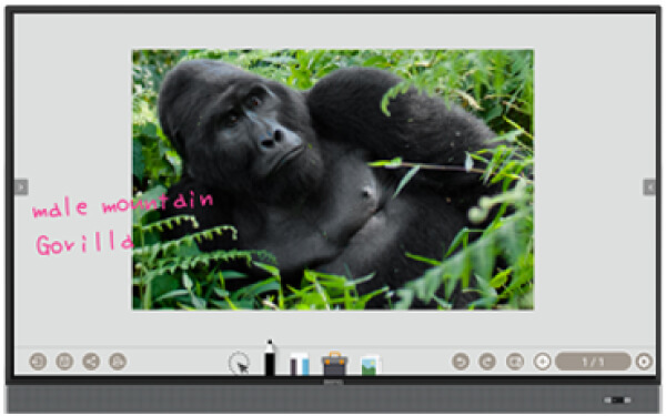 adjustable-screen-capture-regions-and-import-03.jpg